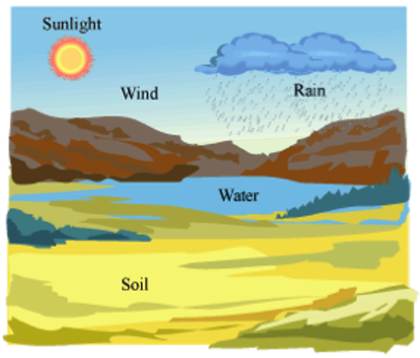 <p>the physical or nonliving component of an organism's environment</p>