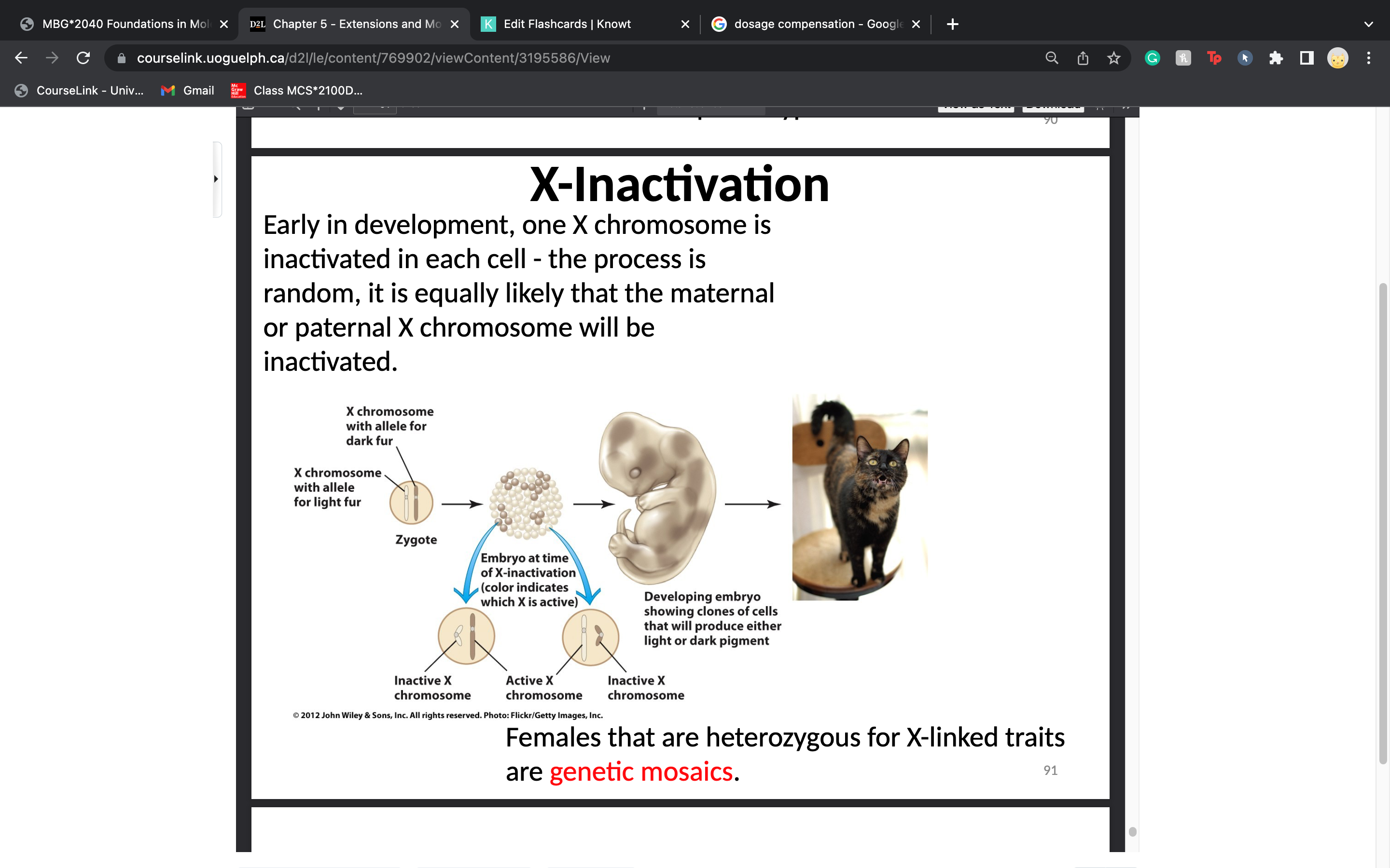 knowt flashcard image