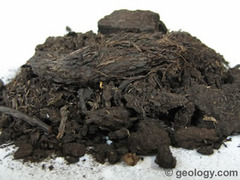 Composition: Plant Fragments
Type: Biochemical(organic)
Info: visible plant remains, first stage of coal