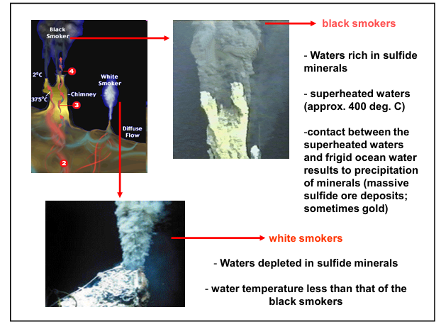 <p>White Smokers</p>