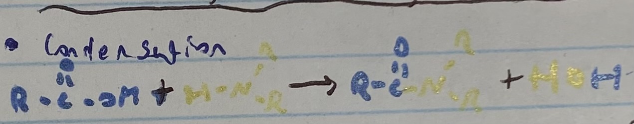 <p>2 molecules combine and form larger molecule + H2O</p>