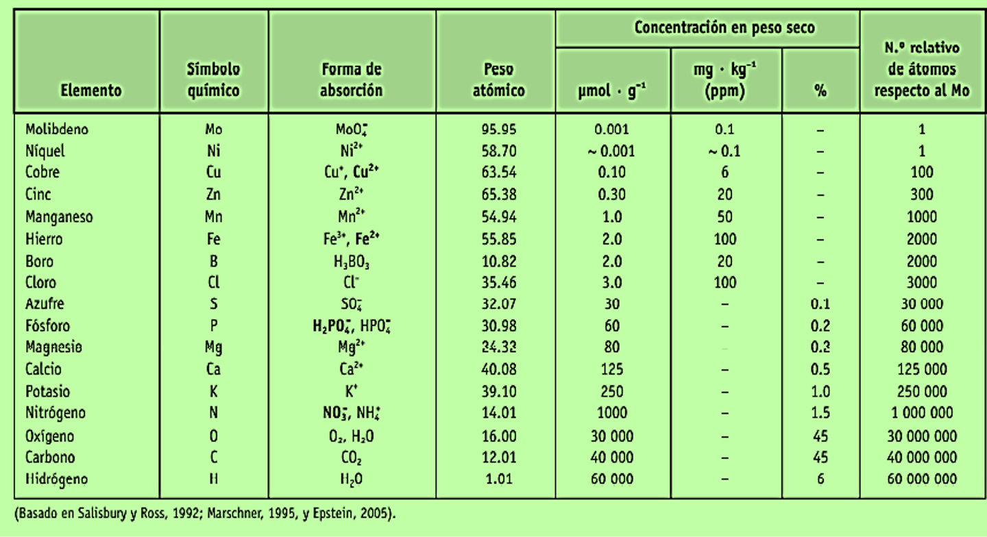 Cada uno de los elementos esenciales deben estar presentes en ciertas composiciones químicas para que la planta lo absorba. 
