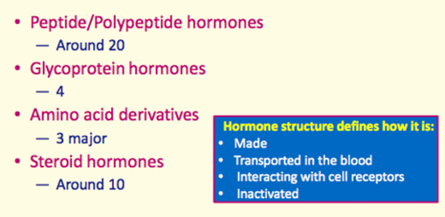 <p>1) Peptide/polypeptide hormones</p><p>2) Glycoprotein hormones</p><p>3) Amino acid derivatives</p><p>4) Steroid hormones</p>