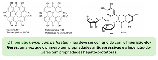 <ul><li><p>compostos que possuem dois aneis seguidos de 2 sequencias de 3 aneis</p></li><li><p>possui hipericina e proto-hipericina e podem também encontrar-se flavenóides</p></li><li><p>é sintetizado pela via acetato</p></li></ul><p></p>