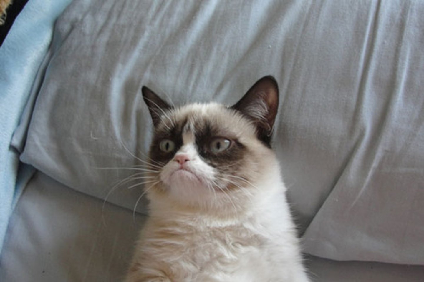 <p>unpleasant, grumpy</p>