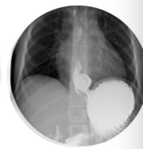 <p>What is this </p>