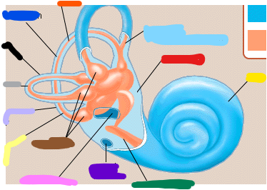 <p>blue structure</p>