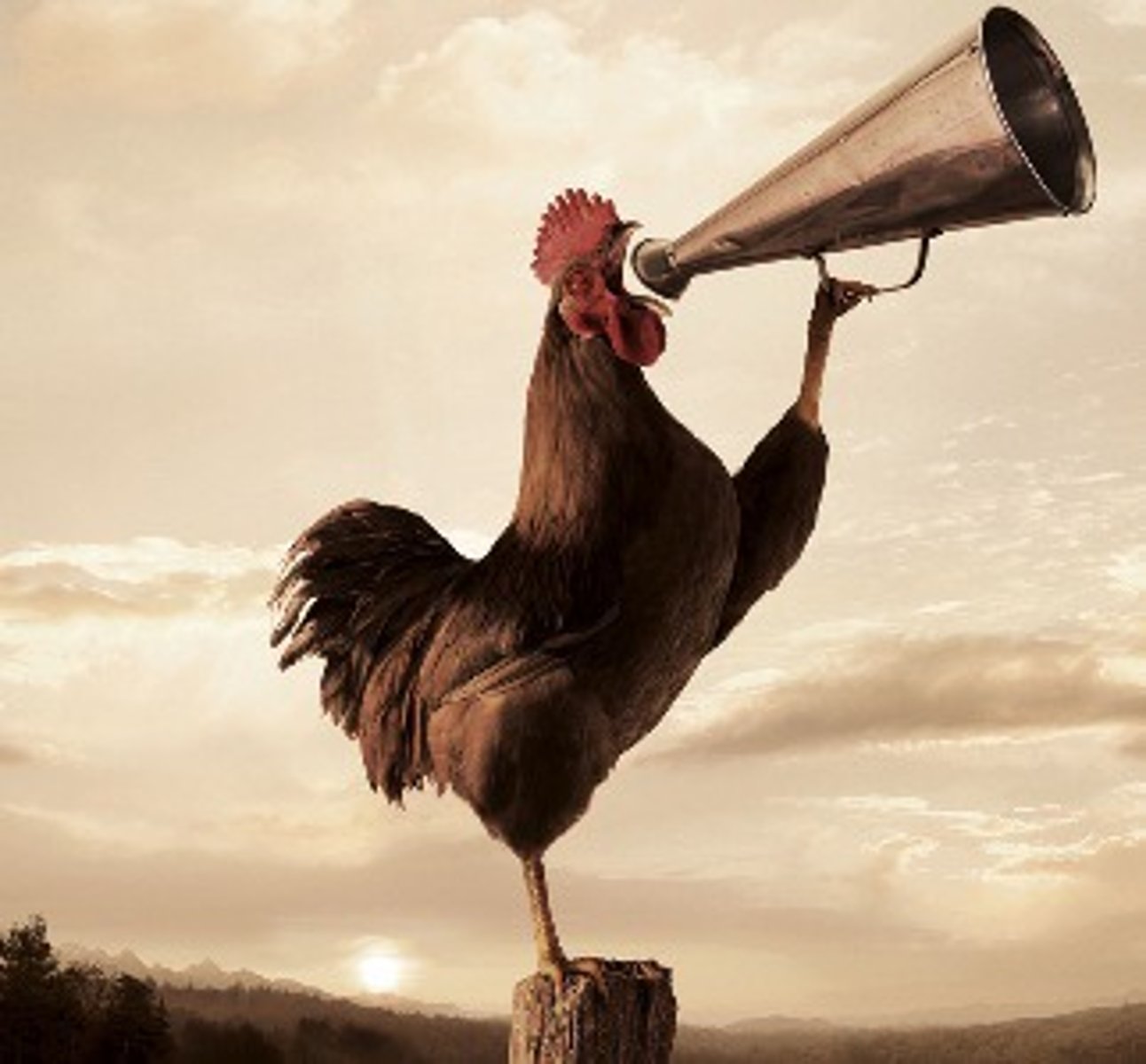 <p>(adj.) harsh-sounding, raucous, discordant, dissonant</p><p><span>Sentence:</span> "The cacophonous sound of car horns and construction filled the busy city street."</p>