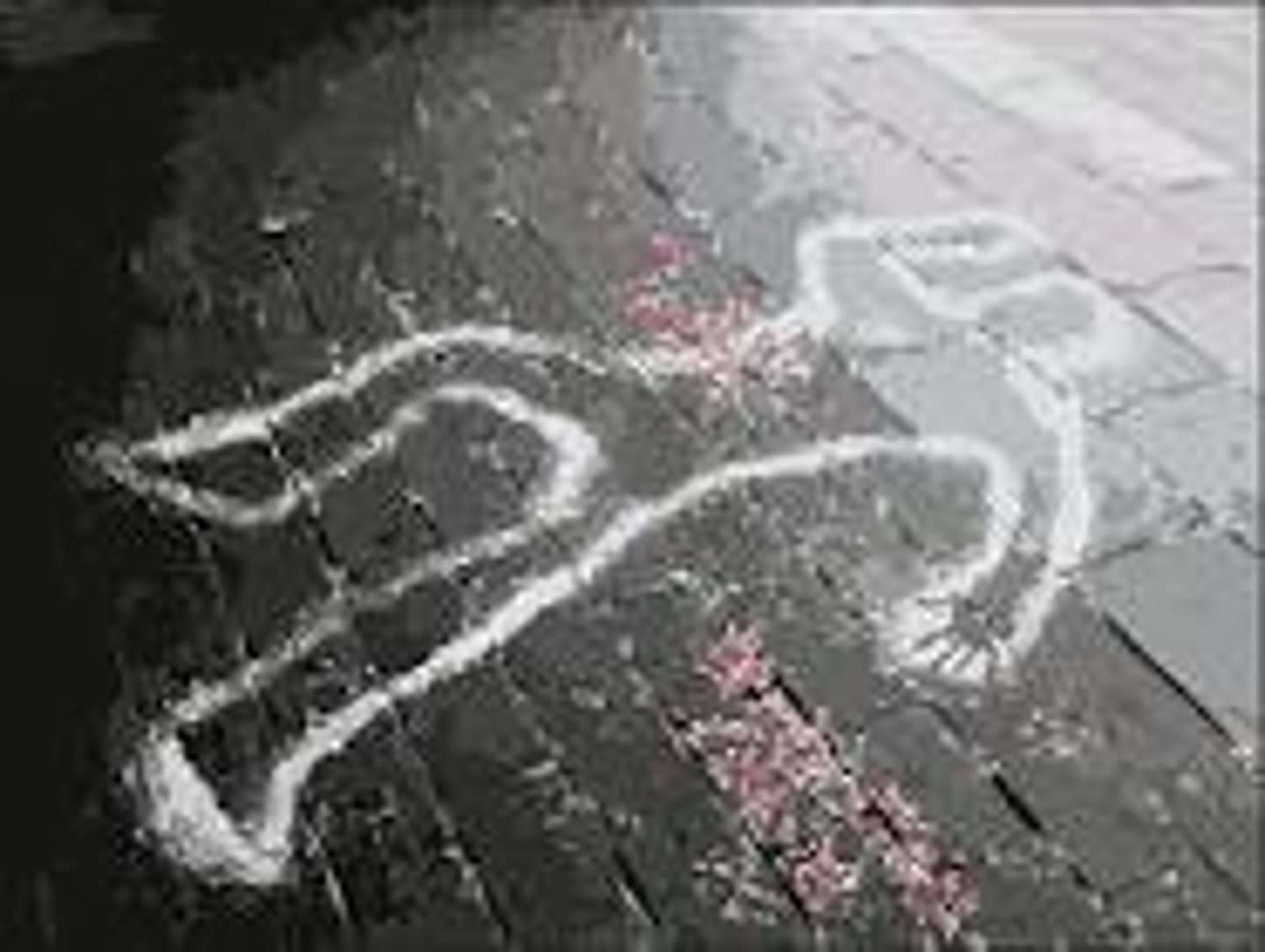 <p>assassination</p>