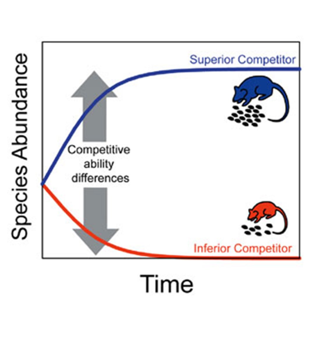 <p>If one species is better adapted, then the less well adapted species will decline in number until it can no longer exist in the habitat alongside the better species.</p>