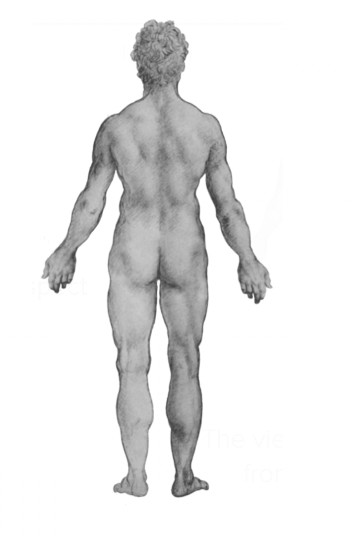 <p>view from the back</p>