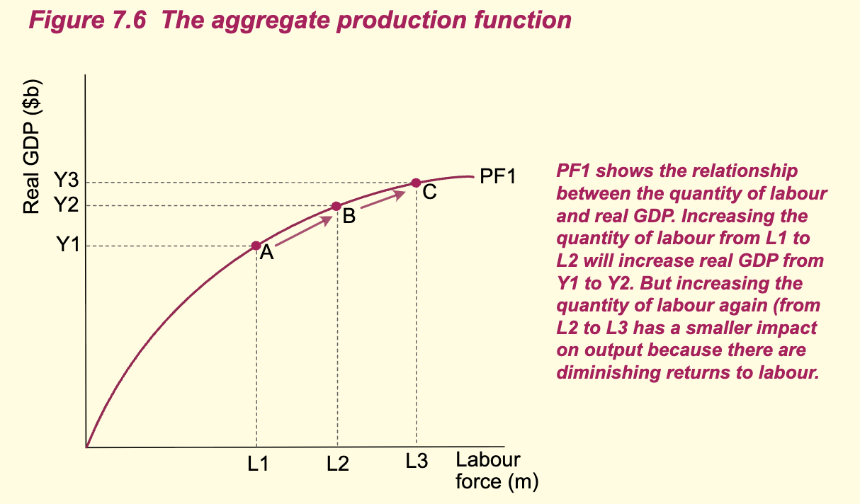 <p>The APF model helps explain the cause of economic growth. It shows the relationship between real GDP and the labour force. It is curved downwards because of the law of diminishing returns, which states that if more units of labour are used with a fixed amount of capital input, then output would rise but at a decreasing rate. </p>