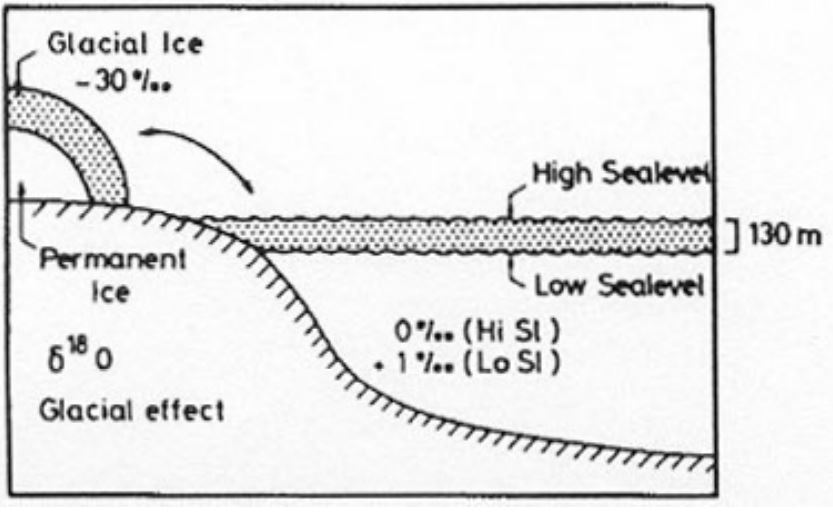 <p>a result of the Raleigh Distillation, during ice ages the oceans are enriched in 18O</p>