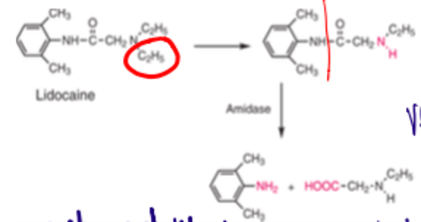 <p>- N-deethylation</p><p>Therefore, it has a very short half-life and used IV</p>