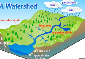 <p>Is an area of land where all the surface water, from rain or snow, drains into a common body of water/ Is the land area that delivers runoff, sediment, and dissolved substances to a stream. Small streams joint to form rivers, and river flow downhill to the ocean.</p>
