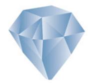 <p>What cut is this?</p>