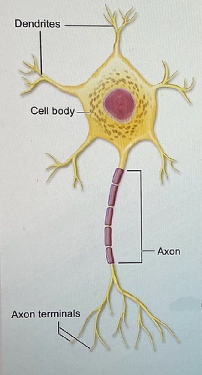 knowt flashcard image