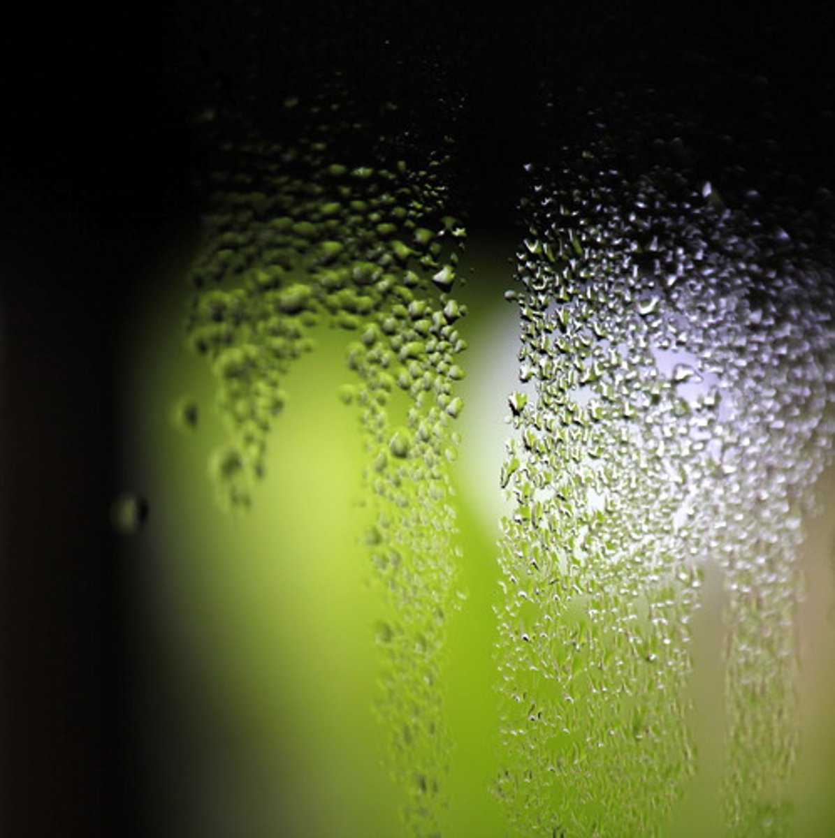 <p>The amount of water vapor in the air. For a tropical storm to form, this has to be high.</p>