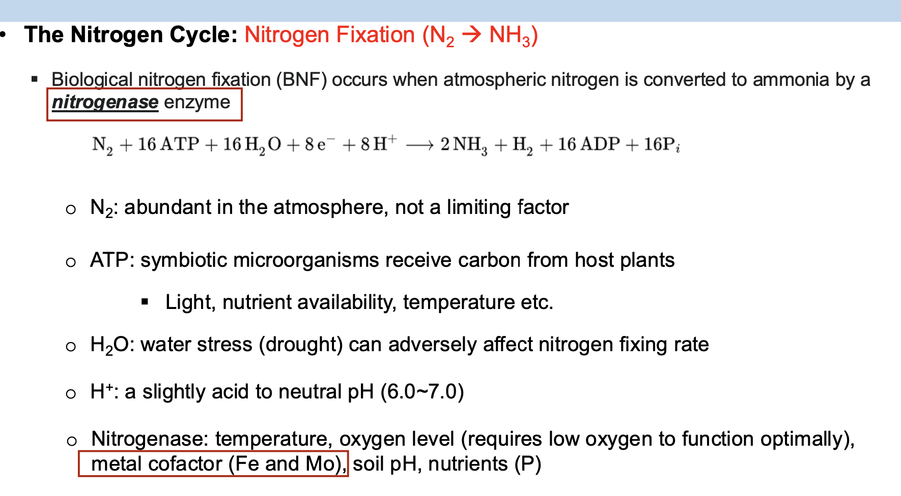 <p>D. The synthesis and functioning of the nitrogenase enzyme generally require metal cofactors such as iron and molybdenum</p>