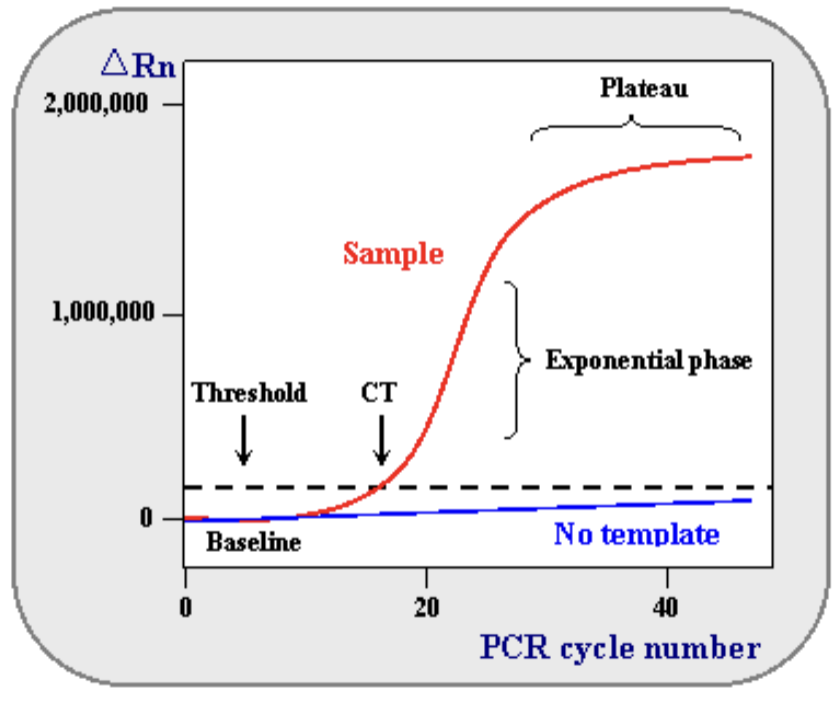 <ul><li><p>normal PCR and RT-PCR: we visualize DNA after PCR cycles are complete</p><ul><li><p>amplified DNA already at a plateau</p></li></ul></li><li><p>qPCR: we measure CT (threshold cycle), the number of PCR cycles it takes for detected fluorescence to be greater than threshold levels – before the plateau is reached</p></li></ul><p></p>