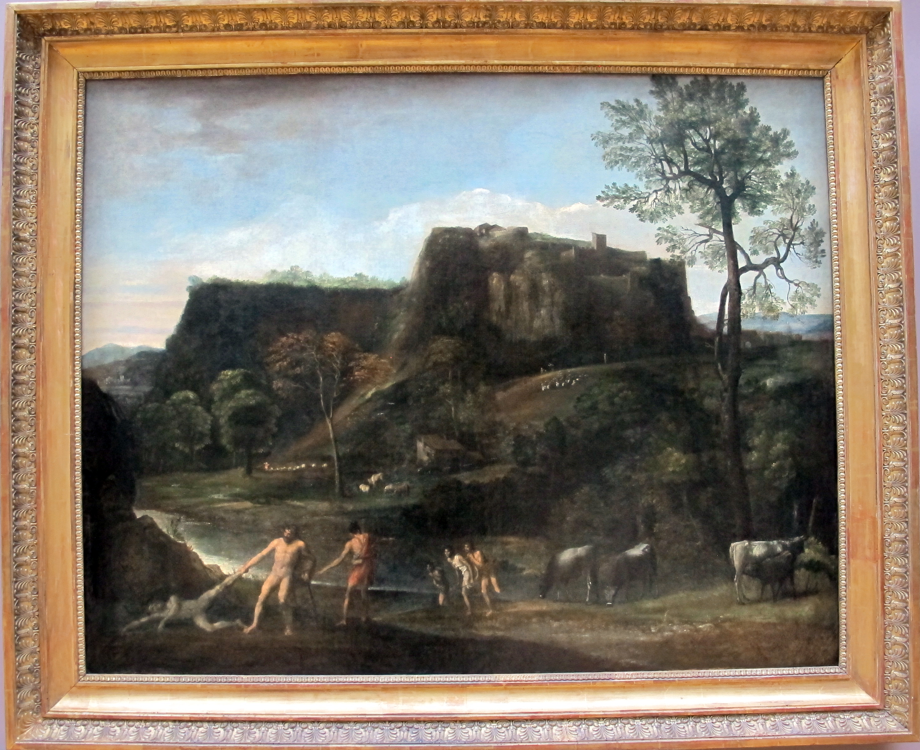 term image