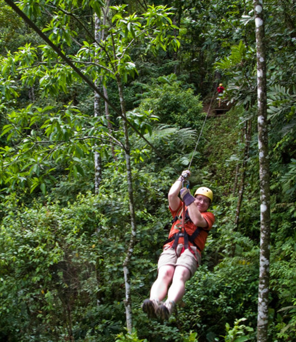 <p>to go ziplining</p>