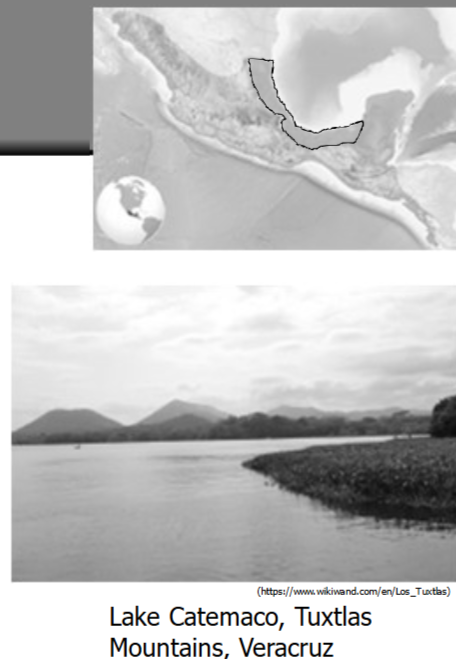 <p> Hot, humid, tropical grasslands and tropical forests, lots of rivers</p><p> Lagoons and tidal swamps</p><p> Hardwood, palm, rubber, fruit trees</p><p> Cacao and vanilla</p><p> Tropical forest and coastal fauna</p><ul><li><p>Monkeys, sloths, coatis</p></li><li><p> Tapir, peccaries, brocket deer</p></li><li><p>Tropical birds and waterfowl</p></li><li><p> Fish</p></li></ul><p> Important coastal trade route </p>