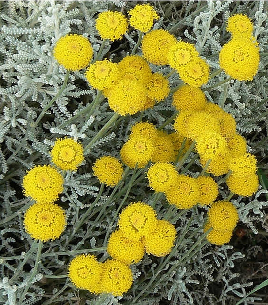 What is this?