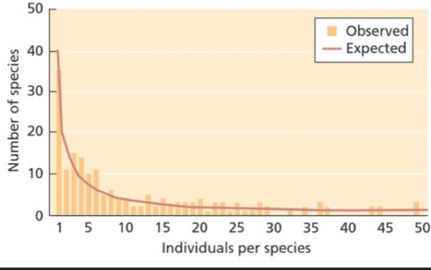 <p>Are most species common or rare?</p>