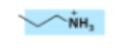 <p>What membrane lipid has this head group?</p>
