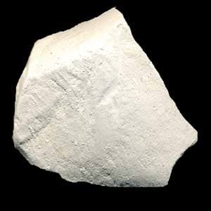 <p>Identify the sedimentary rock</p>