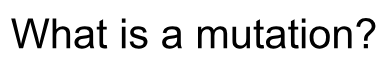 term image