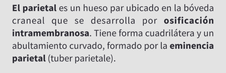 <p>Hueso Parietal (par)</p>