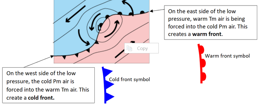 <ul><li><p>Due to anticlockwise rotation of air into the centre of the low pressure the Polar Front develops waves creating an embryo depressions </p></li><li><p>on the east side of the low pressure, warm Tm air is being forced into the cold Pm air. this creates a warm front as warm air is forced over cold air&gt;</p></li><li><p>on the west side of the low pressure, the cold Pm air is forced into the warm Tm air. this creates a cold front.</p></li></ul><p></p>