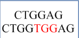 <p>Adding a base into the DNA sequence</p>