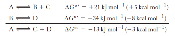<p>Equals the sum of the free-energy changes of the individual steps </p><ul><li><p>allows for the coupling of thermodynamically unfavorable and favorable reactions in enzyme active sites </p></li><li><p>In the example, the reactions are coupled by intermediate B</p></li></ul><p></p>