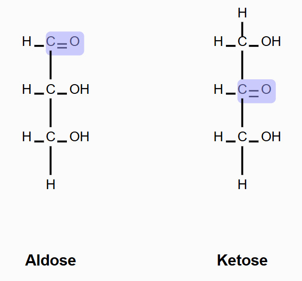 <p>aldose: carbonyl group at the end<br><br>Ketose: carbonyl group in the middle<br><br></p><img src="" data-width="100%" data-align="center" alt=""><p></p>