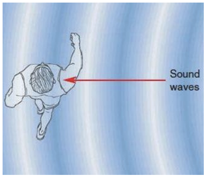 <p><strong>Lower freq.</strong> sounds do not produce a sound shadow due to <strong>diffraction (sound waves bend around head)</strong></p><p>Sound wave peak reaches each ear at <u>different times</u> (right ear hears sound from right side first)</p>