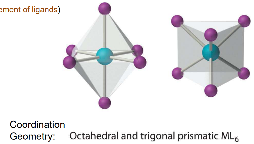 <p>Octahedral (most common) or trigonal prismatic (extremely rare – need ‘special’ arrangement of ligands)</p>