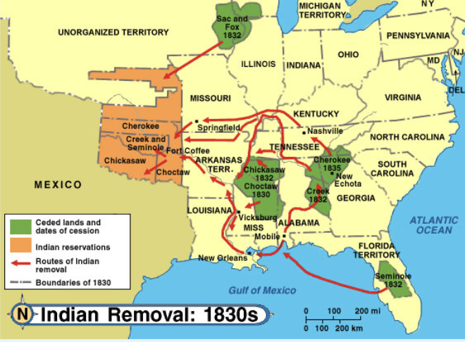 <p>map of indian removal act (trail of tears)</p>