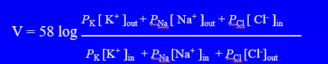 <p>takes into account the relative permeabilities to ions</p>