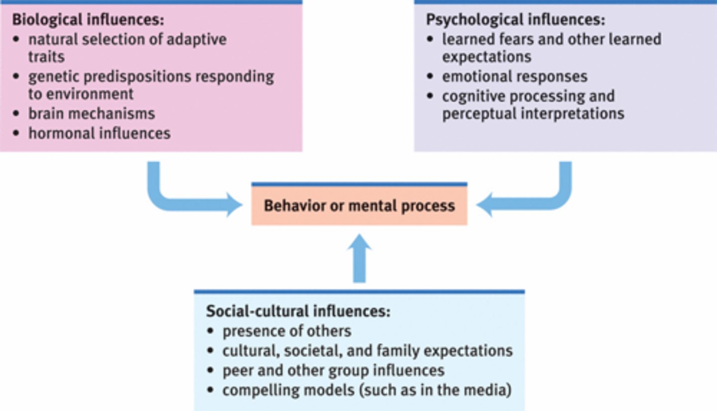 <p>a theory or perspective that relies on the interaction of biological, individual psychological, and social variables</p><p>Biologic: abnormalities of brain structure, function,, and alterations of brain chemistry.</p><p>Psychologic: past conflicts that affect thoughts and emotions.</p><p>Social: dysfunction among social and interpersonal relationships.</p>