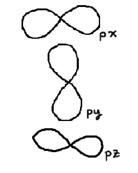 <p>p orbital </p>