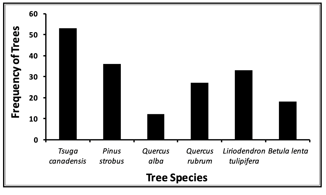 <p>Common with qualitative data, what type of graph is this?&nbsp;</p>