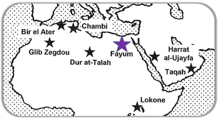 <p>The omomyid primates eventually give rise to the haplorrhine primates. Among these were the first-known monkeys (Parapithecidae) from which a slightly younger group arose (Propliopithecidae). By far, the best-known and oldest fossils come from Oligocene localities in the <strong>Fayum Depression in the Sahara Desert of Egypt.</strong></p><ul><li><p>warm and humid climate of Africa supported a tropical rainforest biome!&nbsp;</p></li></ul><p></p>