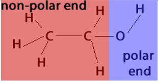 <p>Alcohols exhibit both polar and non-polar regions. </p><p>As the chain length increases within a homologous series the non-polar region increases in size, as a result dispersion size strength increases.</p><p> More thermal energy is needed to break stronger intermolecular forces and cause a transition in state. </p><p>Thus the trend we observe is a linear relationship between molar mass and boiling point within a homologous series. </p><p></p>