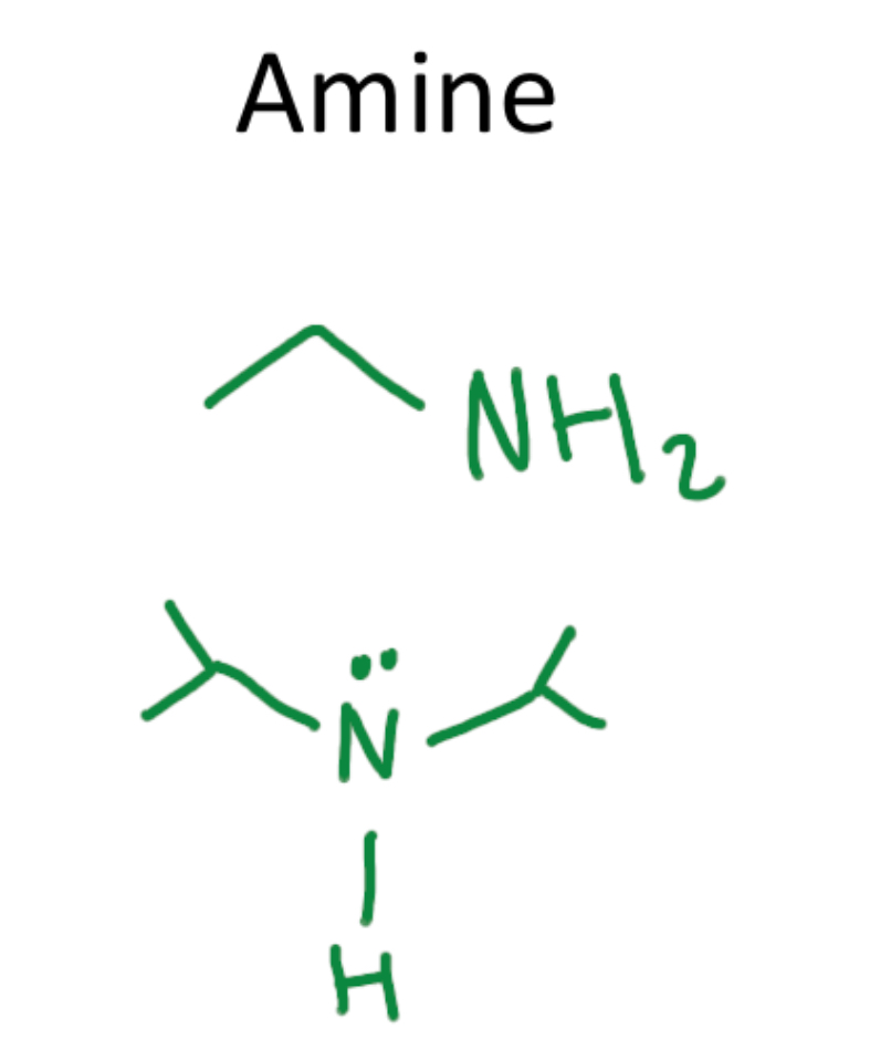 <ul><li><p>an organic compound with a nitrogen atom bonded to one or more alkyl or aryl groups</p></li></ul><p></p>