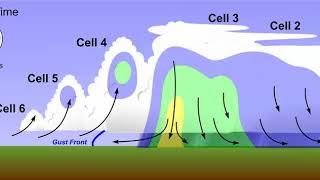 <p>Cluster of storms formed by outflow boundaries, sustaining longer-lived severe weather.</p>