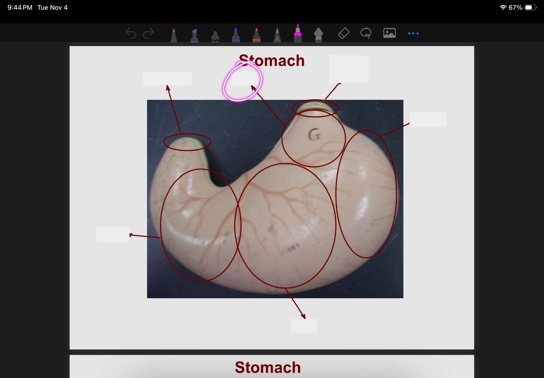 <p>What is this?</p>