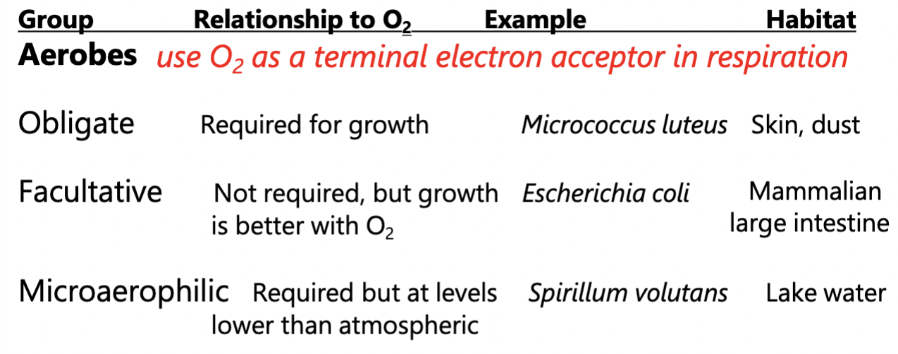 <p>Cultures usually grown with vigorous shaking to give them O2</p>
